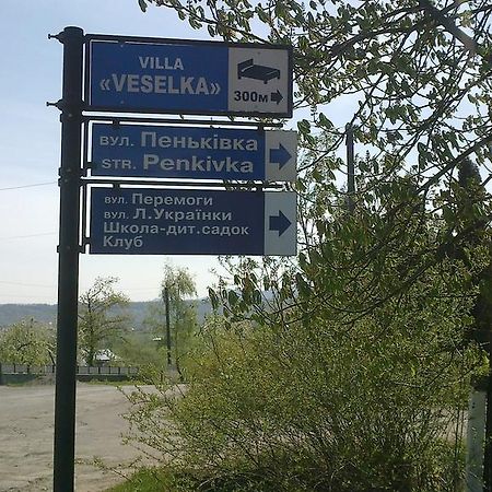 Villa Veselka Stari Kuty Bagian luar foto