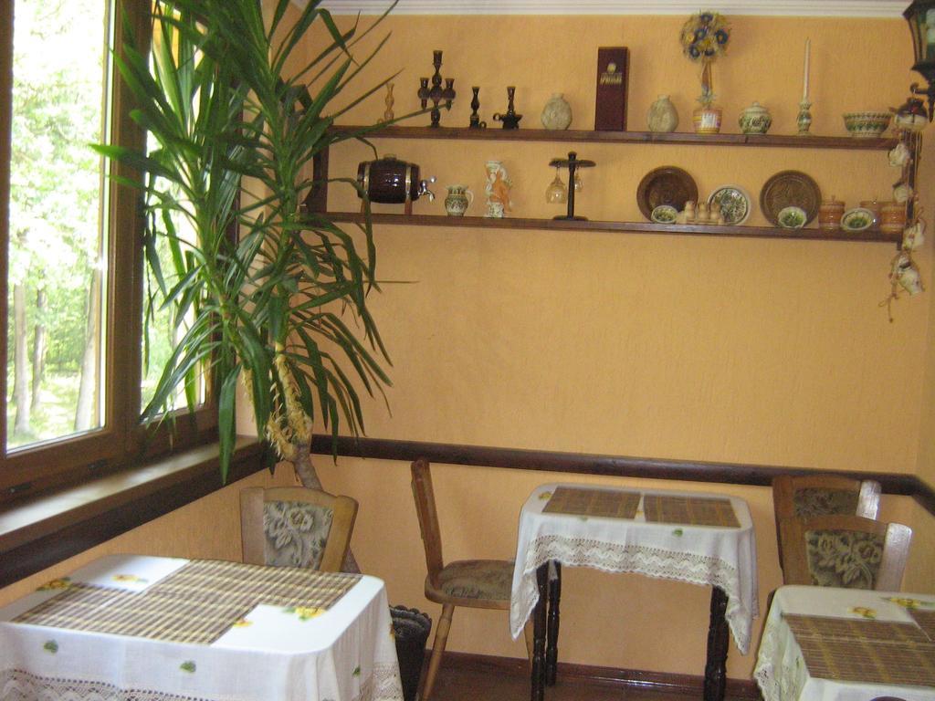 Villa Veselka Stari Kuty Bagian luar foto
